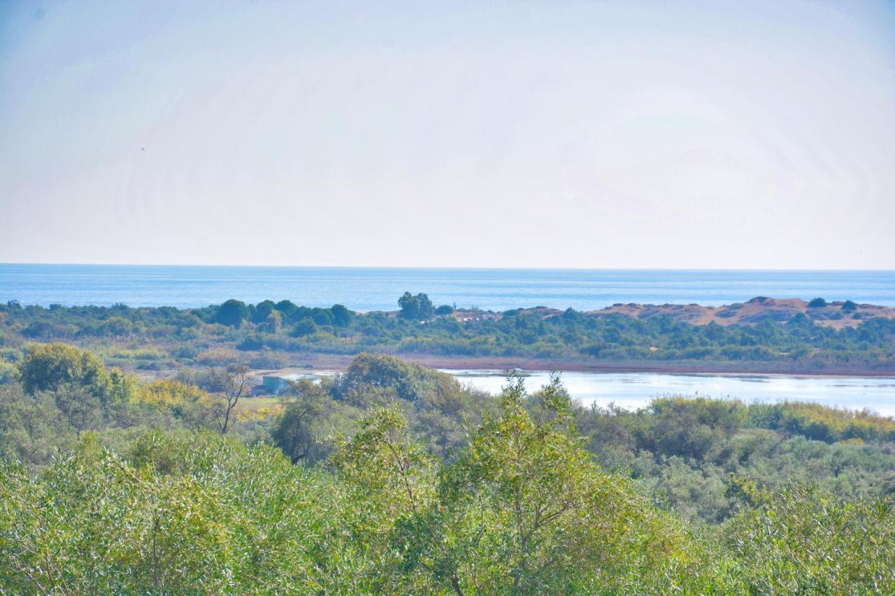 Ninas Cottage Línia Dış mekan fotoğraf